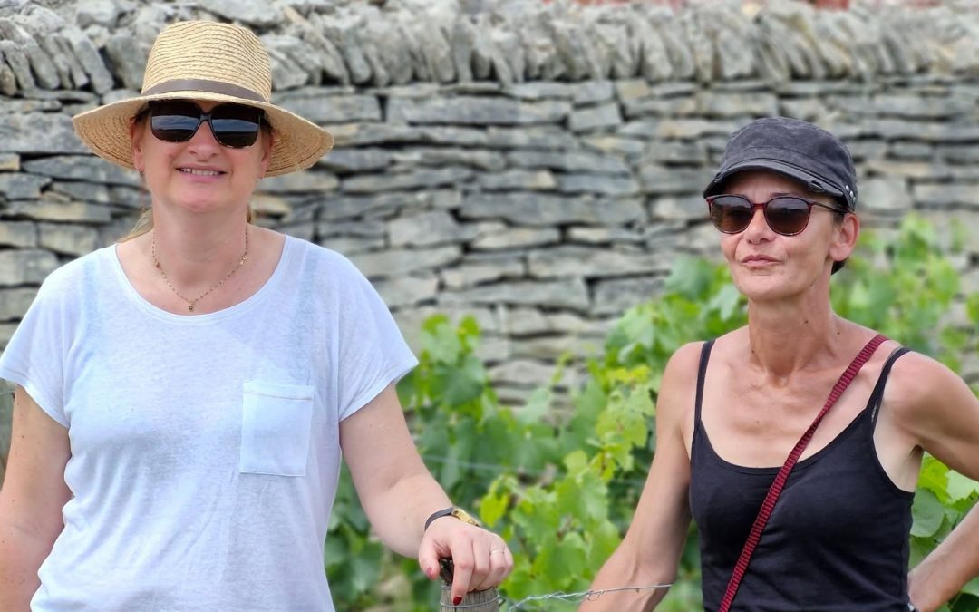 Sur les pas du vigneron à Santenay