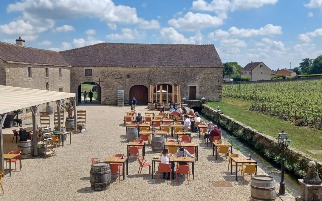 Escale entre vignes et gastronomie avec Les Divines Bourgogne